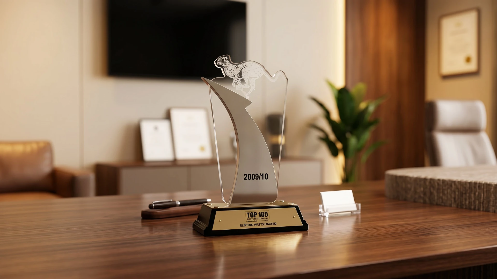 Top 100 Mid-Sized Companies Award — Electro Watts Limited